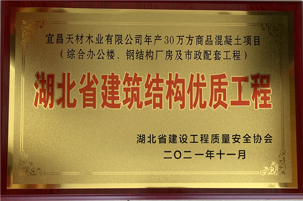 2021年湖北省建筑結構優質工程